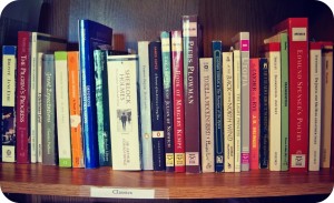 bookshelf (1)